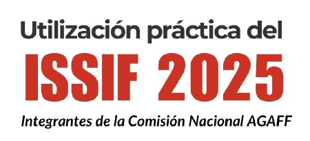 Issif Icon Utilización Práctica del ISSIF 2025 - Colegio de Contadores Públicos de ...