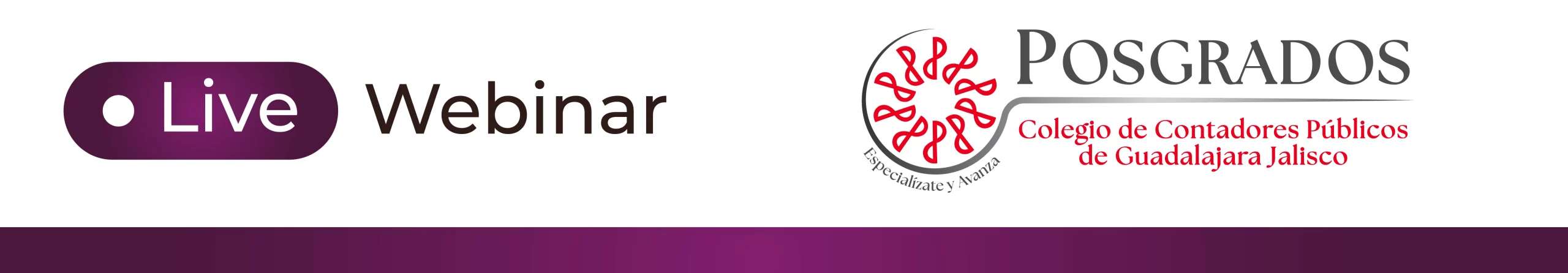 Webinar | Control Interno y Gestión de Riesgos en los Entes Públicos: de la obligación normativa a la protección institucional