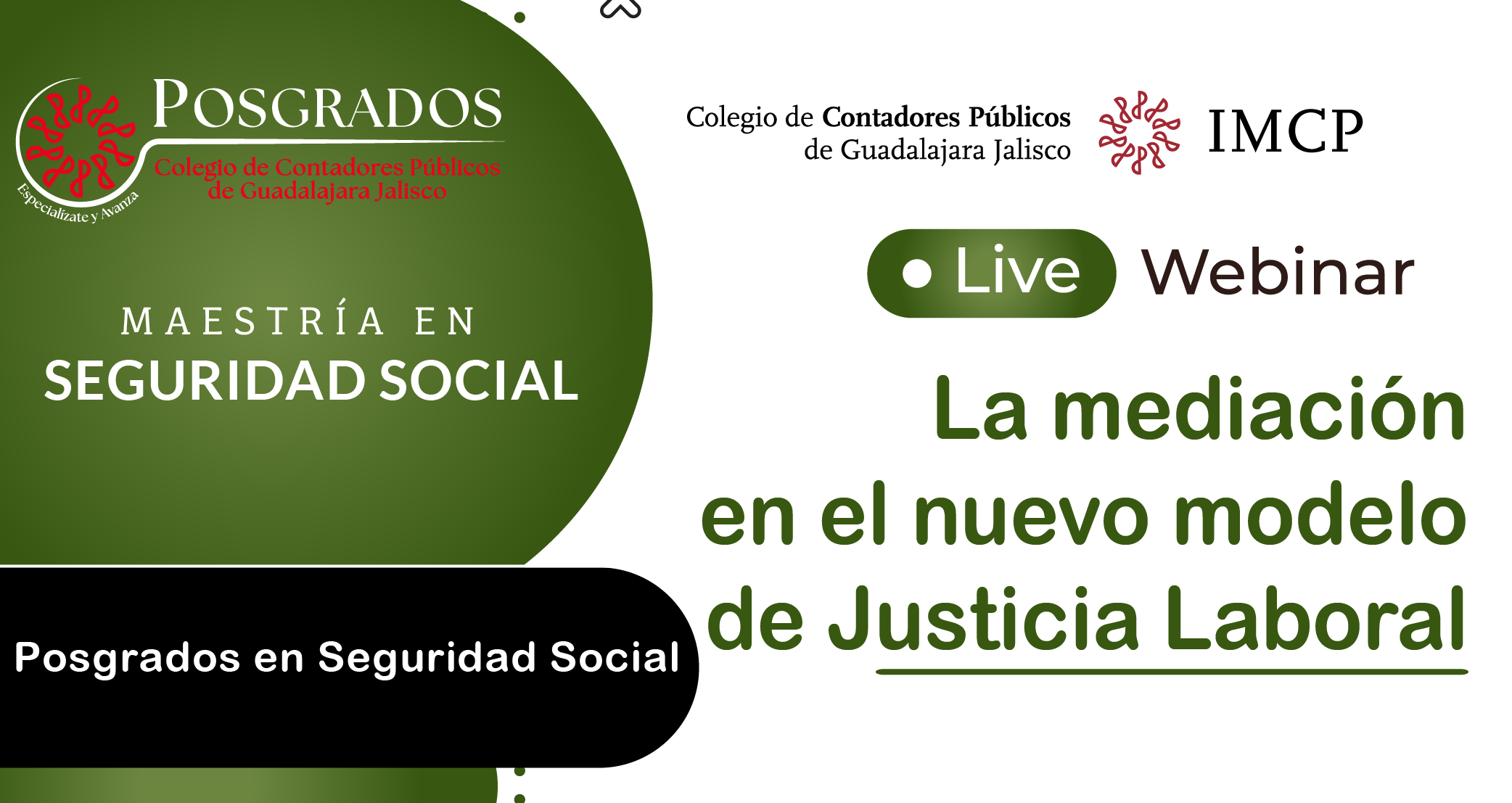 Webinar La mediación en el nuevo modelo de Justicia Laboral - Colegio ...
