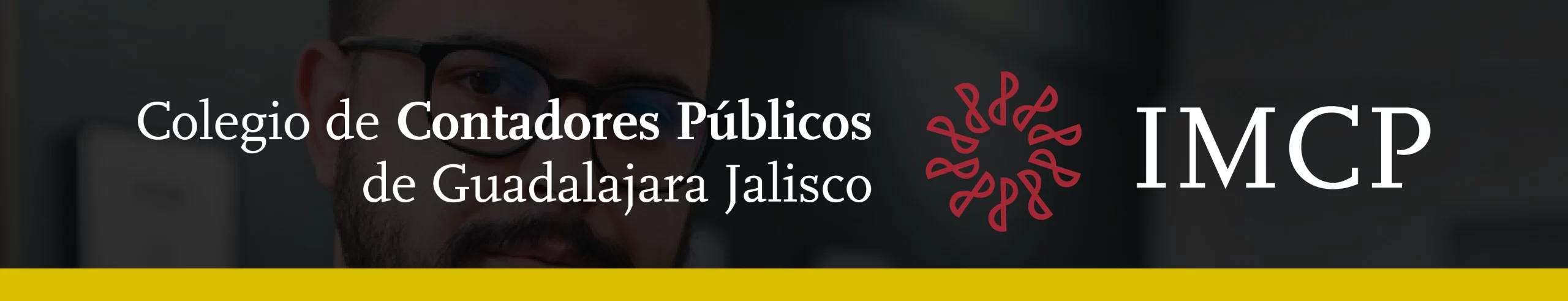 Efectos Fiscales y Financieros de una Limited Liability (LLC) con Socio Mexicano