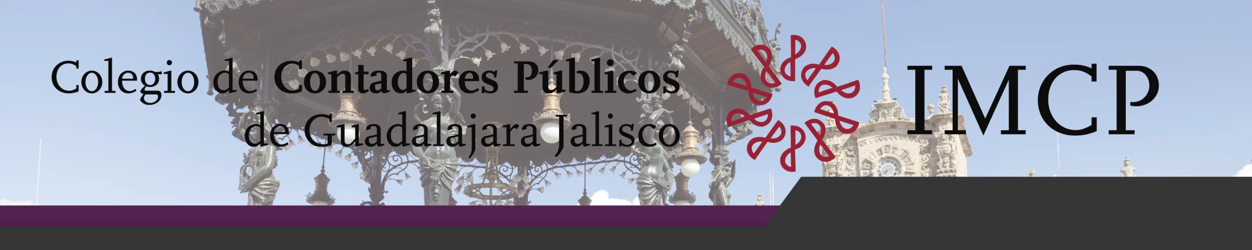 Módulo IV: Sistema de Contabilidad Gubernamental | Diplomado en Gestión Pública y Contabilidad Gubernamental